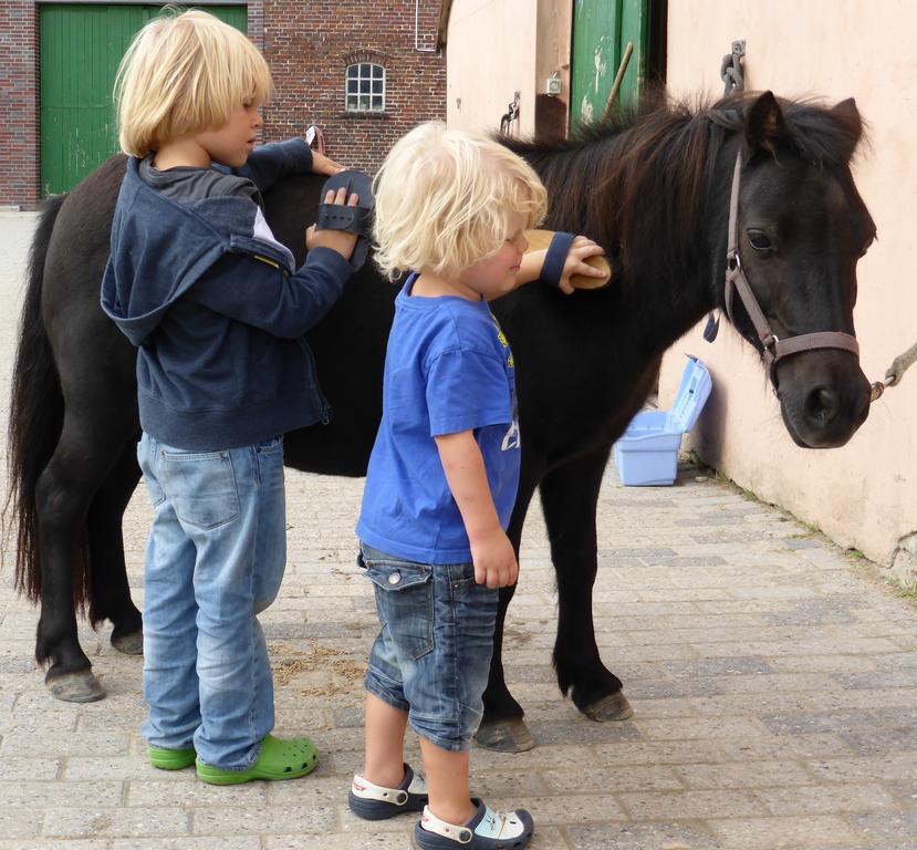 HoltgastReiterhof Gruendeichアパートメント エクステリア 写真